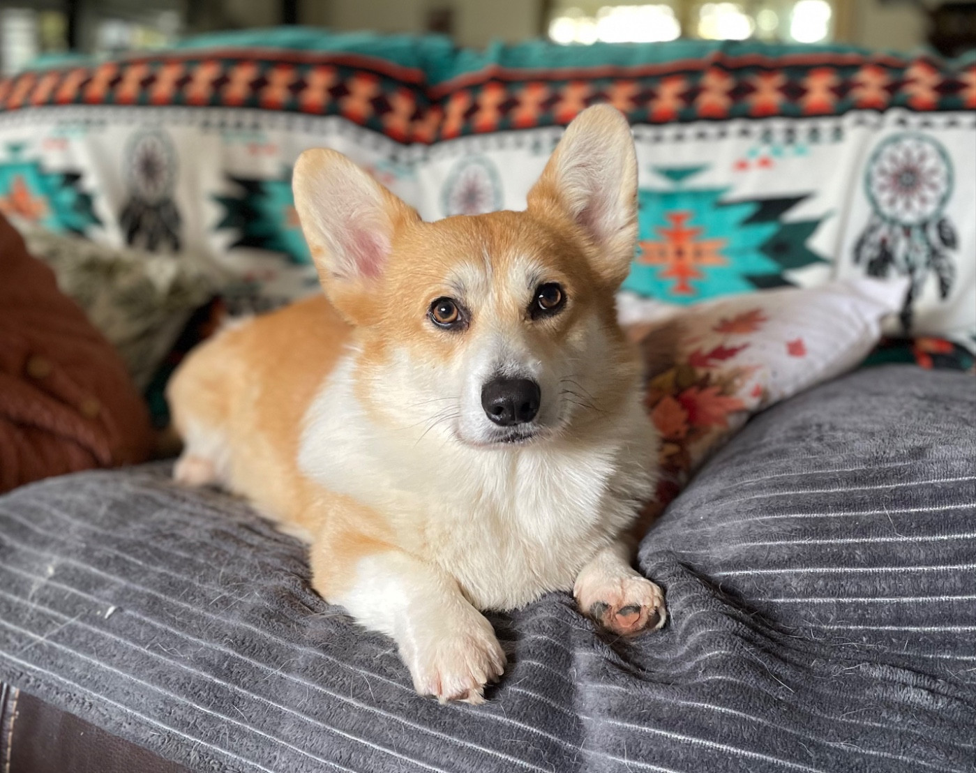 Milk Wood Tea for Two