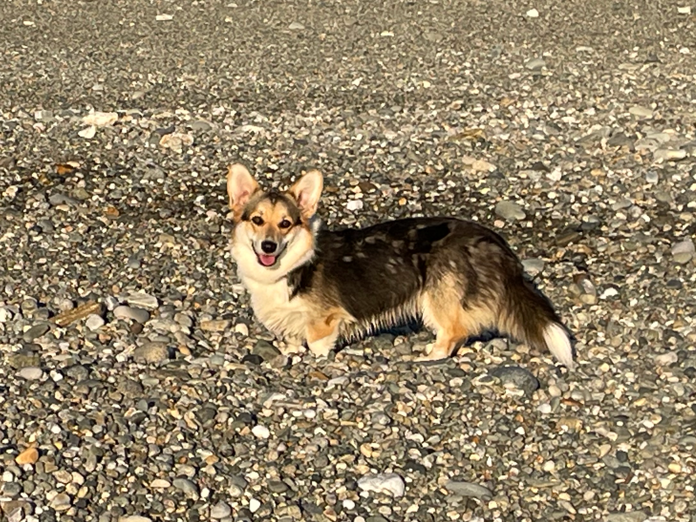 Prinkadiam Va Mon Amie Va